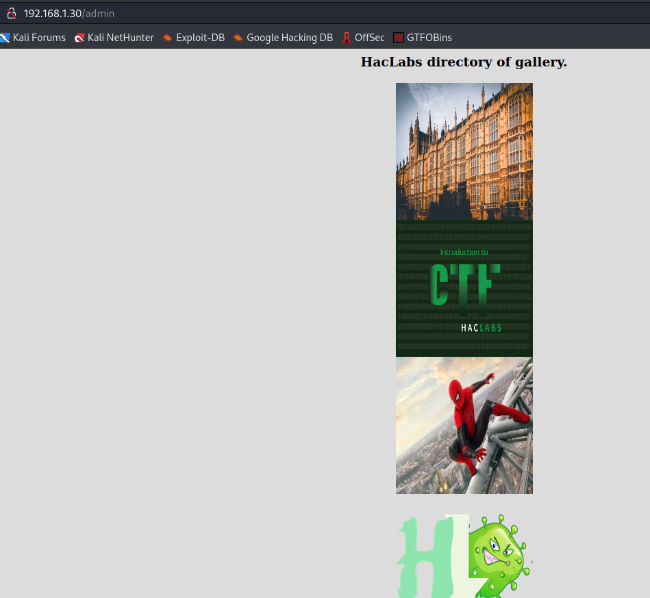 image-20221121221042471