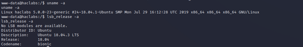 image-20221122205921374