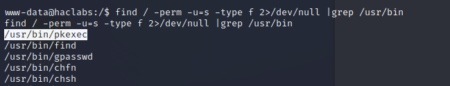 image-20221122210416854