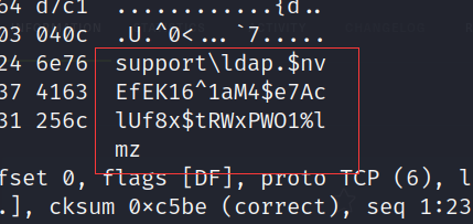 image-20230216213313955